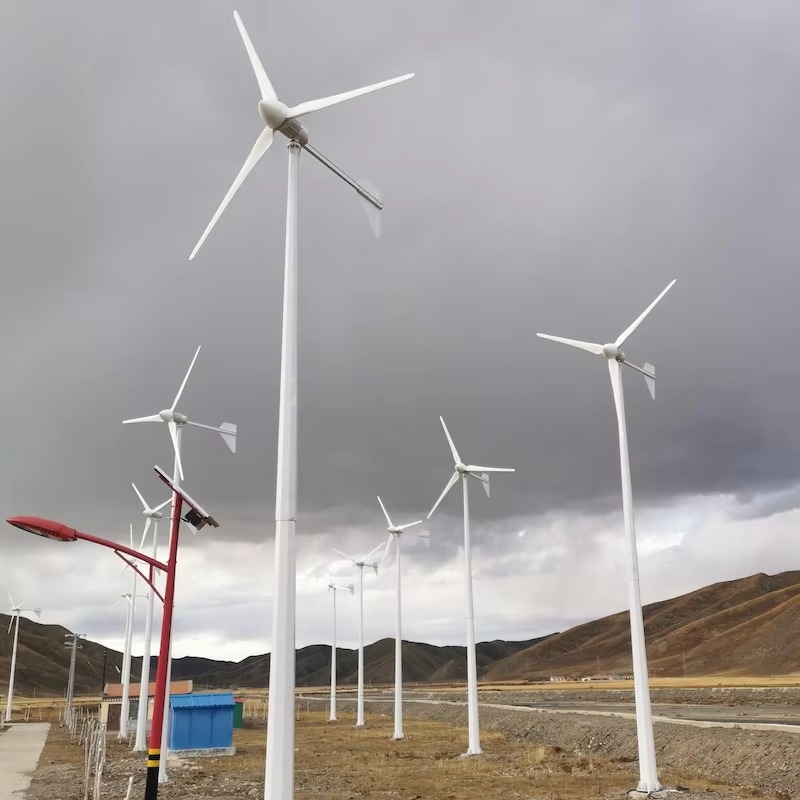 【ベストセラー】家庭用水平風力タービン 1kw 2kw 3k - Wind Turbine Generator のレビューと価格