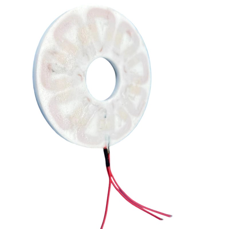 300W 3相コアレスディスクコイル 90/160mm x  - Wind Turbine Generator のレビューと価格