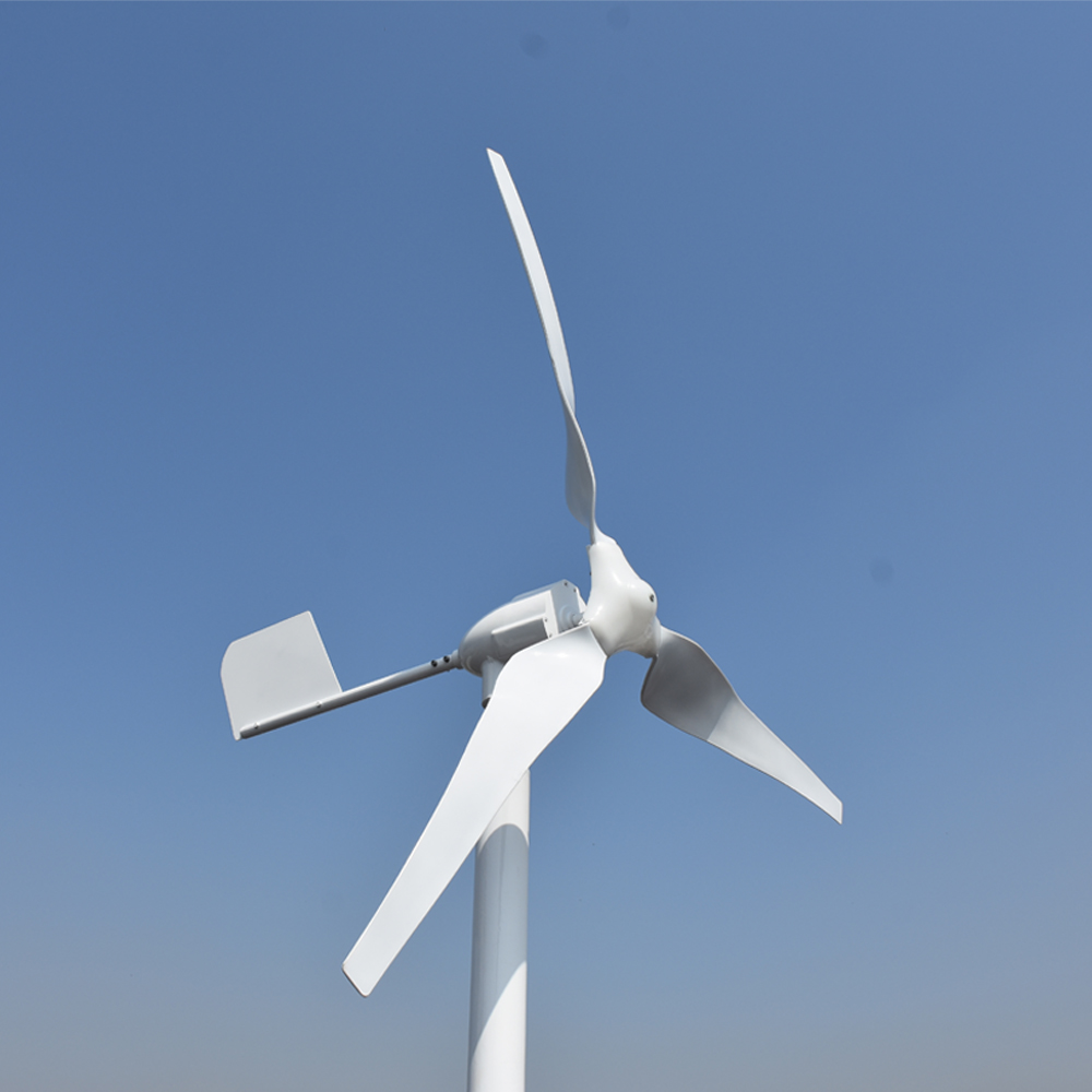 家庭用フリーエネルギープロフェッショナルカスタム3000W  - Wind Turbine Generator のレビューと価格