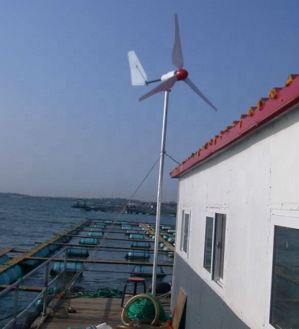 激安セール！ 高効率12v 24v 100w 200w 30 - Wind Turbine Generator のレビューと価格